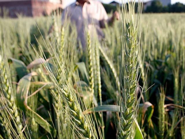 Insists these depts are more related to food and research areas. PHOTO: INP/FILE